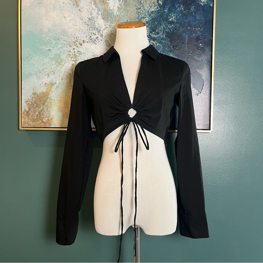 Zara Long-Sleeve Crop Tie-Front Top